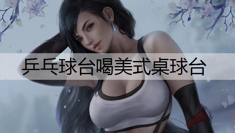 乒乓球台喝美式桌球台