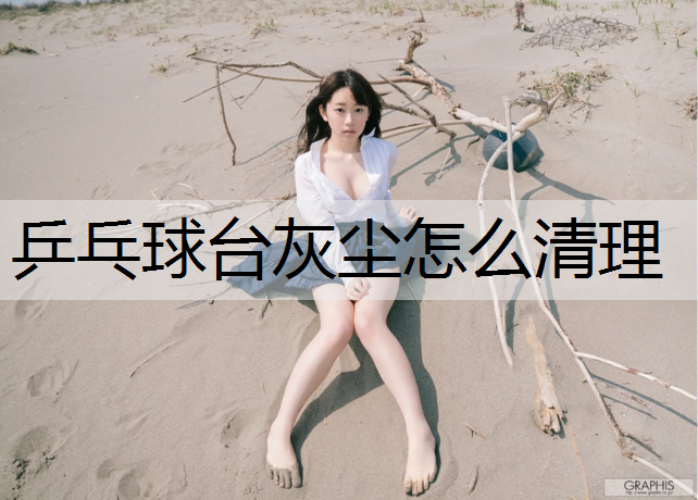 乒乓球台灰尘怎么清理