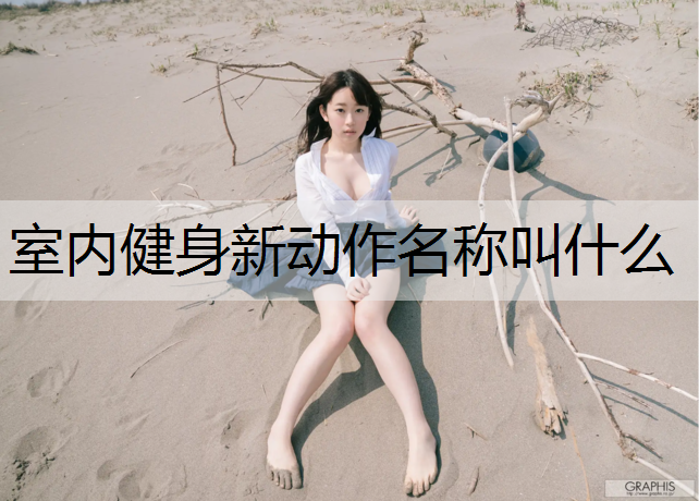室内健身新动作名称叫什么