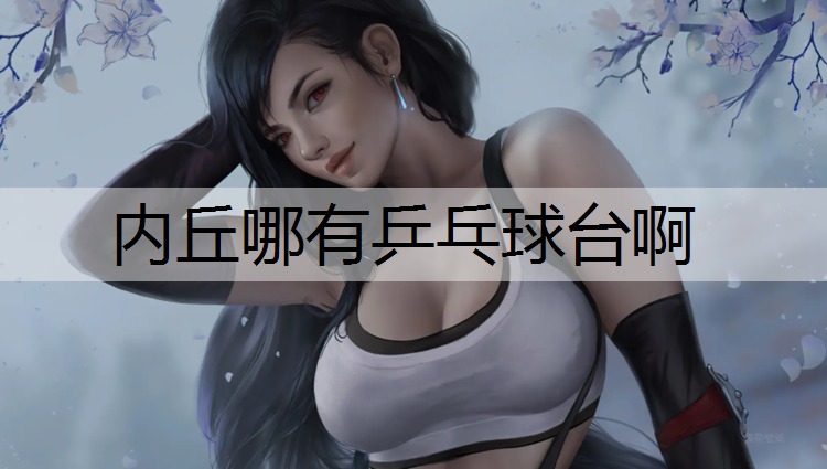 内丘哪有乒乓球台啊
