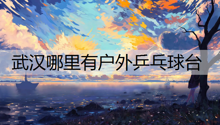 武汉哪里有户外乒乓球台