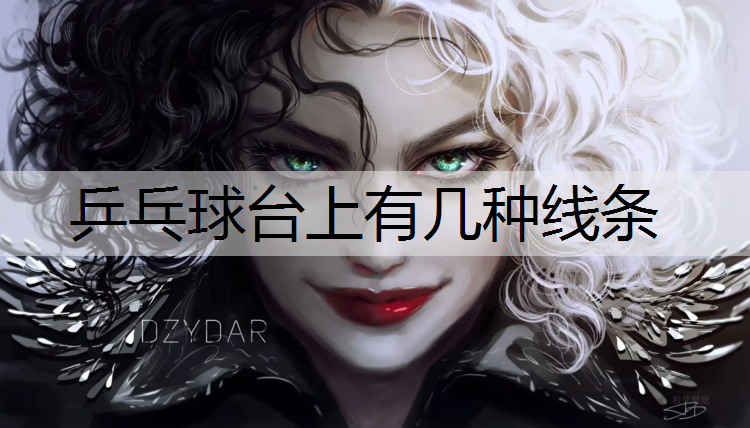 乒乓球台上有几种线条