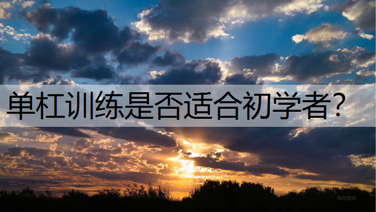 单杠训练是否适合初学者？