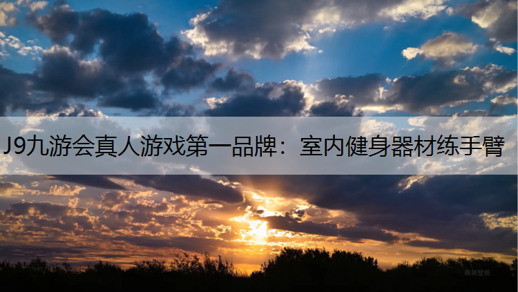 室内健身器材练手臂