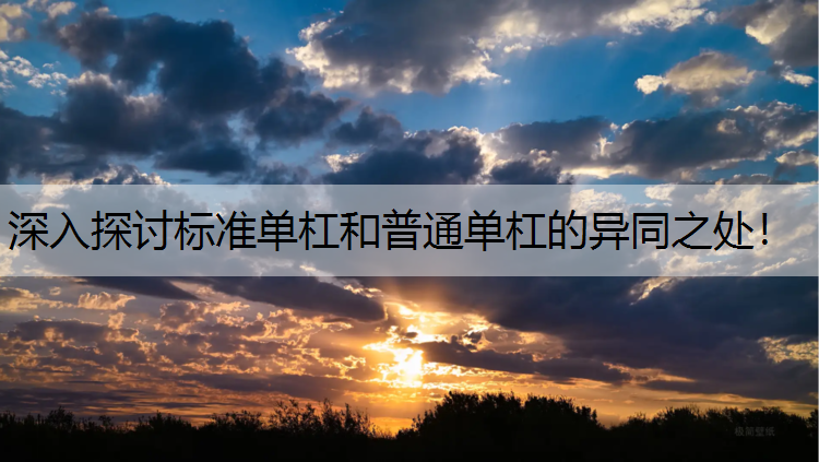 深入探讨标准单杠和普通单杠的异同之处！