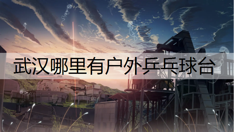 武汉哪里有户外乒乓球台