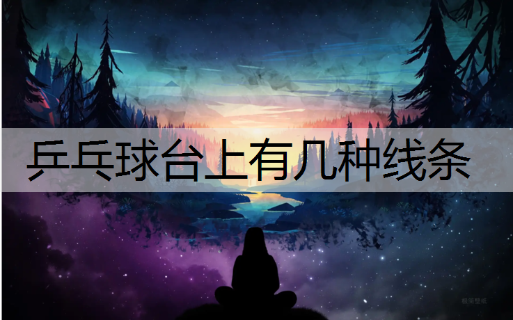 乒乓球台上有几种线条