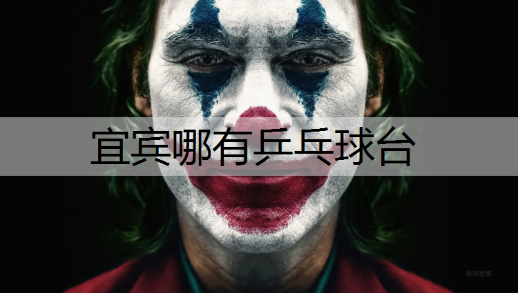 宜宾哪有乒乓球台