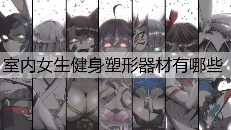 室内女生健身塑形器材有哪些