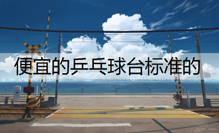 便宜的乒乓球台标准的
