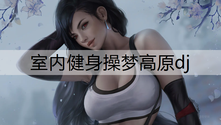 室内健身操梦高原dj